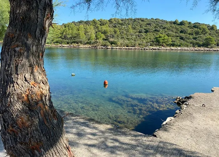 Put Svete Kate 아파트